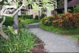 landscape images